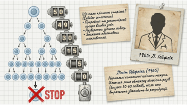 0901pvj4-b99f-367x207.png