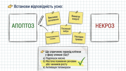 0901pvla-57b7-410x231.png
