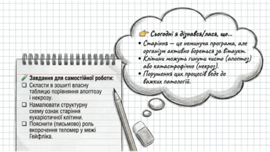 0901pvlp-6fee-385x217.png