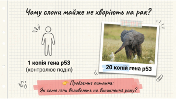 0901pvvg-6db8-359x202.png