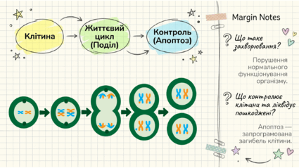 0901pvvp-969b-425x239.png