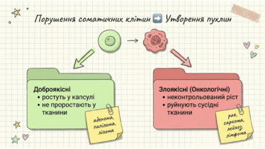 0901pvvy-8c6e-374x211.png