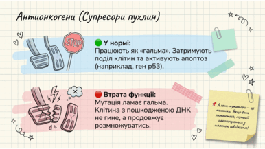 0901pvwo-4948-386x217.png