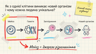 0901pwgi-19c1-381x214.png