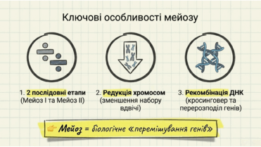 0901pwhk-cd51-371x209.png