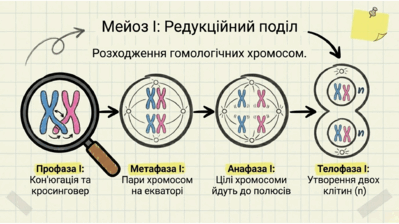 0901pwhv-a7f9-399x224.png