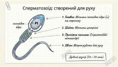 0901pwir-2968-415x234.png