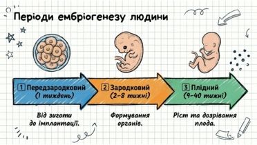 0901pww9-bc13-372x210.png