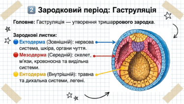 0901pwwl-83ad-375x211.png