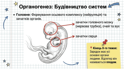 0901pwwu-1403-434x244.png