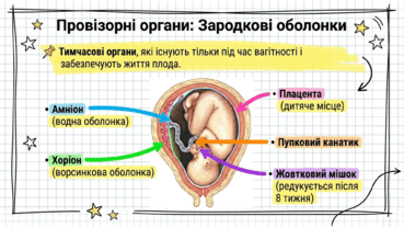 0901pwx1-934b-369x208.png