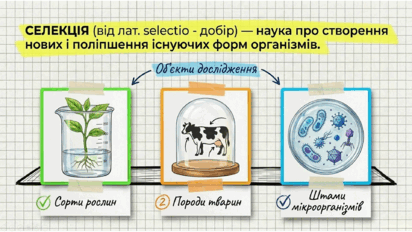 0901pxh3-fd88-412x232.png