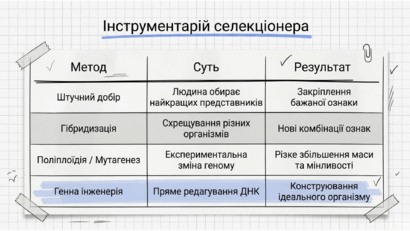 0901pxi2-5bfd-410x231.png