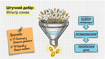 0901pxiy-78d4-364x205.png
