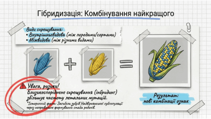 0901pxk0-86ec-433x244.png