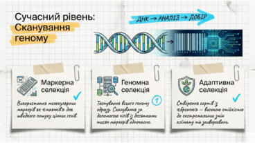 0901pxkj-91d2-368x207.png