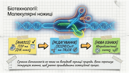 0901pxkn-36db-437x246.png