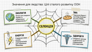 0901pxl4-f2ef-390x220.png