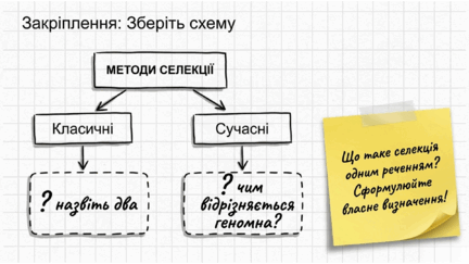 0901pxln-46f9-432x243.png