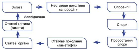 0901pxut-ee6c-561x200.png