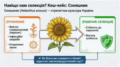 0901pxx7-d9fc-417x235.png