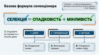 0901pxxd-25c2-378x213.png