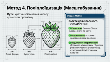 0901pxy7-866a-378x213.png
