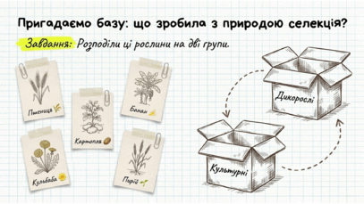 0901pyyn-574e-407x229.png