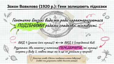 0901pz1a-1e19-373x210.png