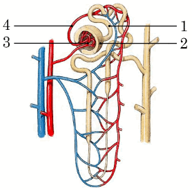 0901pze6-8d1d-278x274.png