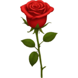 0901pzpc-32fc-159x159.png
