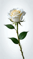0901pzqw-a9e0-108x192.png
