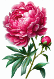 0901pzrq-f2de-110x161.png
