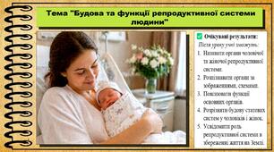 Будова та функції репродуктивної системи людини. Біологія. 8 клас. До підручника Балан П., Козленко О. та ін.