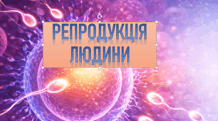 Презентація до теми "Репродукція людини" 8 клас НУШ
