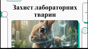 Відеоогляд "24 квітня - Всесвітній день захисту лабораторних тварин"