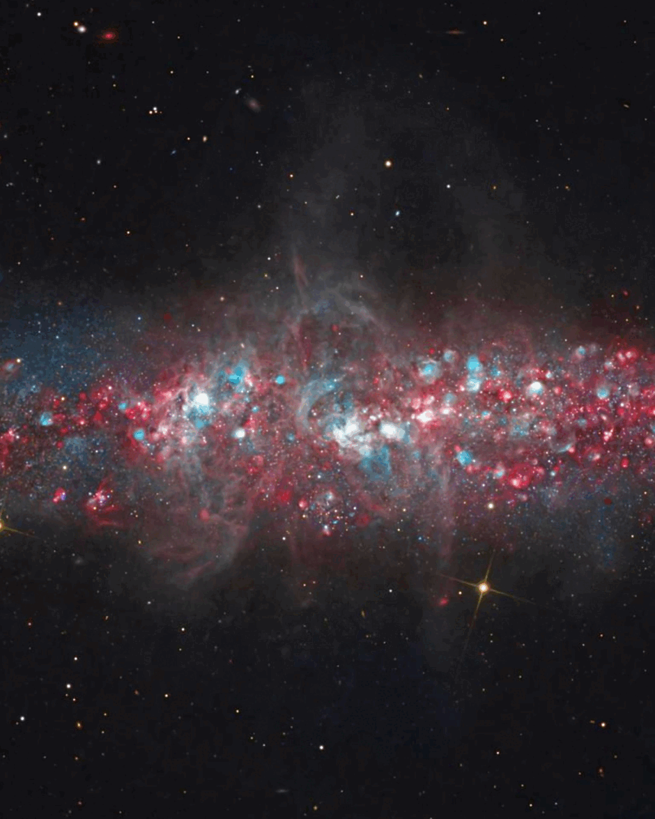 0901q33z-50fd-940x1175.png