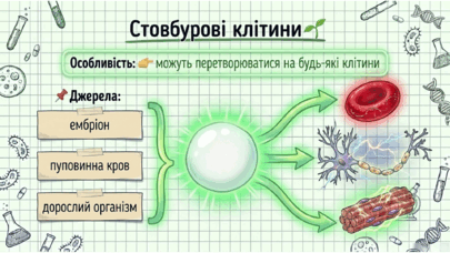 0901q4wz-d1ee-405x228.png