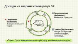 0901q6w1-0221-255x144.png