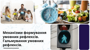 Механізми формування умовних рефлексів. Гальмування умовних рефлексів