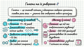 0901qanu-ff28-277x156.png