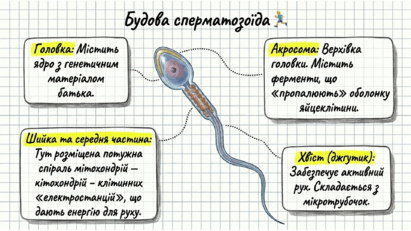 0901qany-90a8-411x231.png