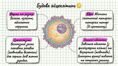 0901qaoh-4bb0-406x228.png