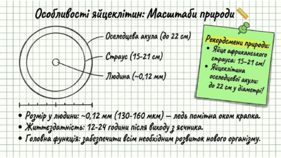 0901qap7-e8e7-406x229.png