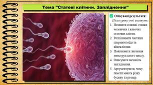 Статеві клітини. Запліднення. Біологія. 8 клас. До підручника Балан П., Козленко О. та ін.