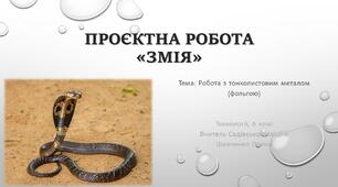 Презентація "Проєктна робота "ЗМІЯ""