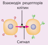 0901qcmx-e87c-161x150.png
