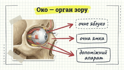 0901qcof-797e-406x229.png