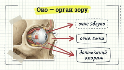 0901qcof-797e-410x231.png