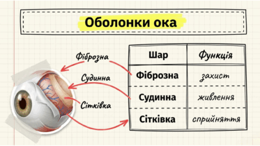 0901qcoq-c7a6-373x210.png
